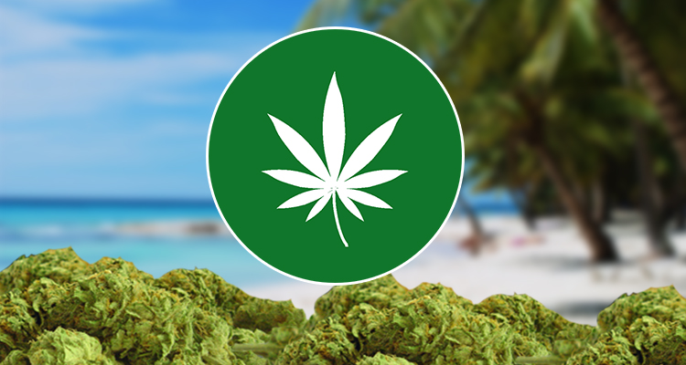 marihuana republica dominicana
